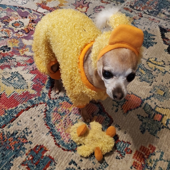 Meet your Posher, Aaron - Picture 9 of 9